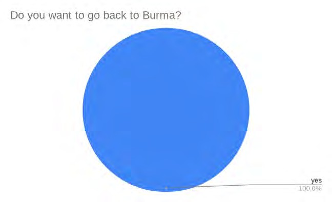 Pie chart: Do you want to go back to Burma?